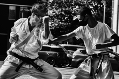 Kells Seido Karate Junior and Adult classes